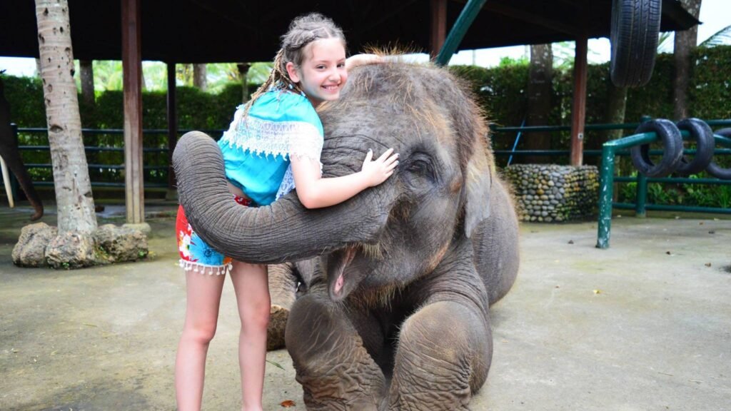 Nigel-Mason-Elephant-park-Bali-